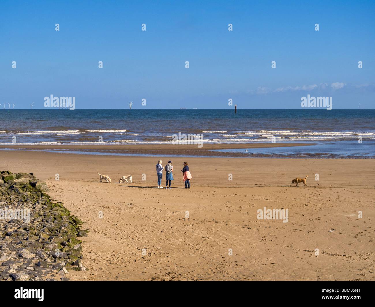 14 août 2024 : Prestatyn, Denbighshire ; pays de Galles ; Royaume-Uni - promeneurs de chiens discutant sur la plage et un matin d'été ensoleillé, trois femmes avec labrado Banque D'Images