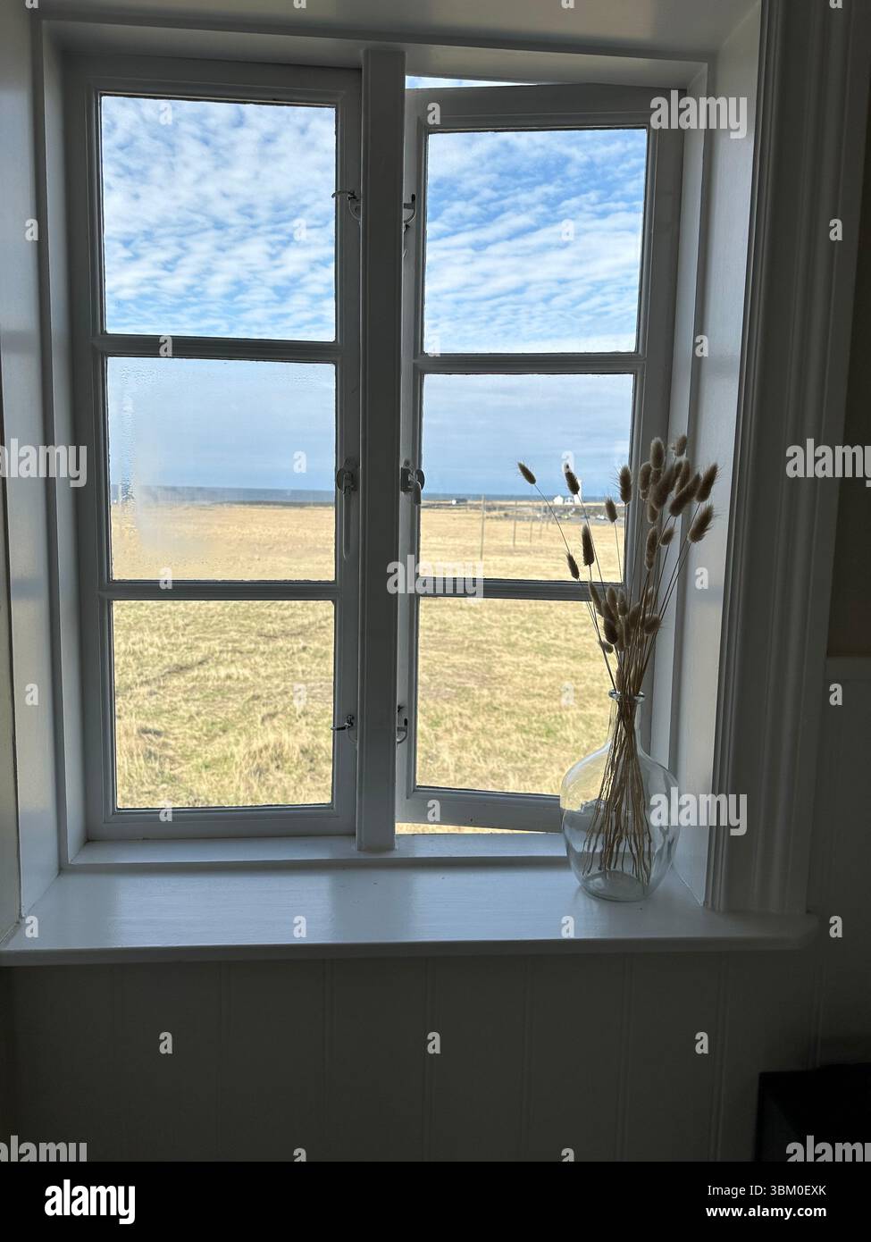 Vue côtière dans l'ouest de l'Islande à travers une fenêtre à panneaux blancs avec de l'herbe séchée dans un vase, prise dans un restaurant mignon près d'un phare par temps clair - Image de stock capturée avec un smartphone
