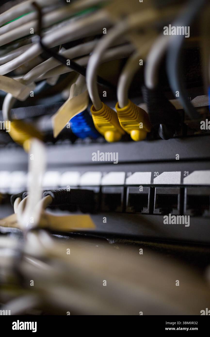 Les câbles Ethernet colorés se connectent au commutateur de rack dans une conception plate, montrant les étiquettes de port Banque D'Images