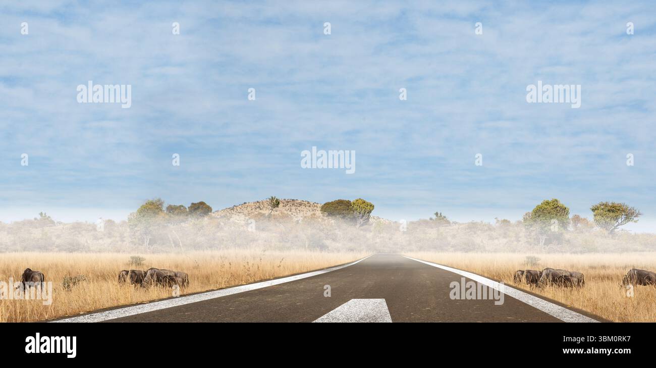 Conception plate montrant la route pavée menant à l'horizon à travers la savane brumeuse avec flèche Banque D'Images