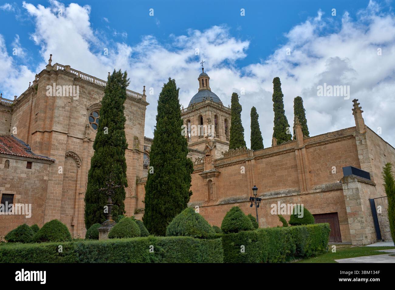 Vue partielle de la cathédrale Ciudad Rodrigo à Salamanque, avec sa tour de style roman qui se dresse parmi les cimes vertes des arbres sous un ciel nuageux. Le chaud Banque D'Images