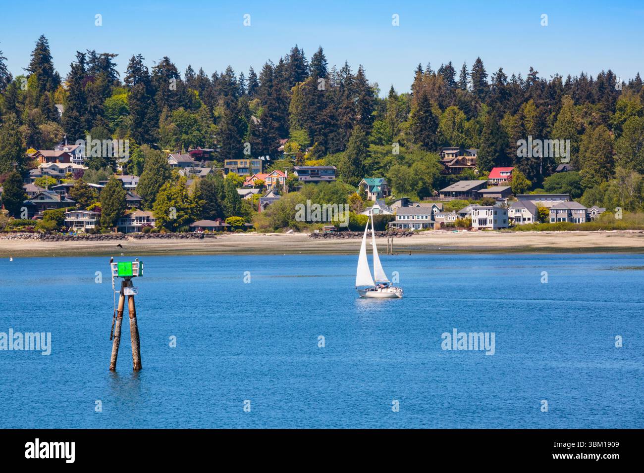 Voilier à Eagle Harbor, Winslow, île de Bainbridge, État de Washington, États-Unis. Banque D'Images
