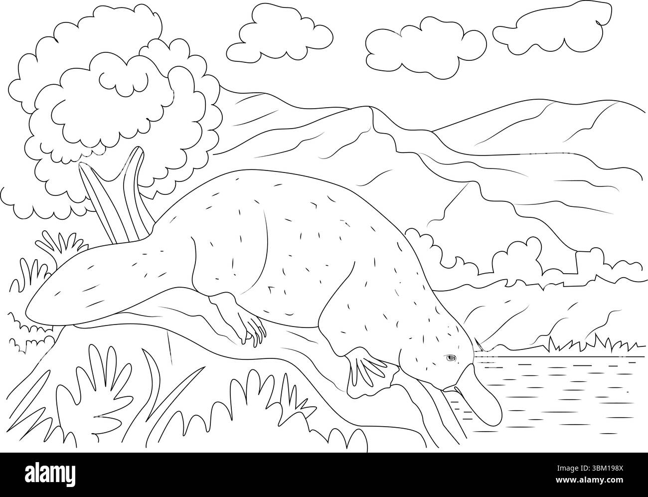Illustration détaillée en noir et blanc représentant un ornithorynque de l'eau potable d'une rivière calme. La scène comprend un paysage naturel avec rolli Illustration de Vecteur