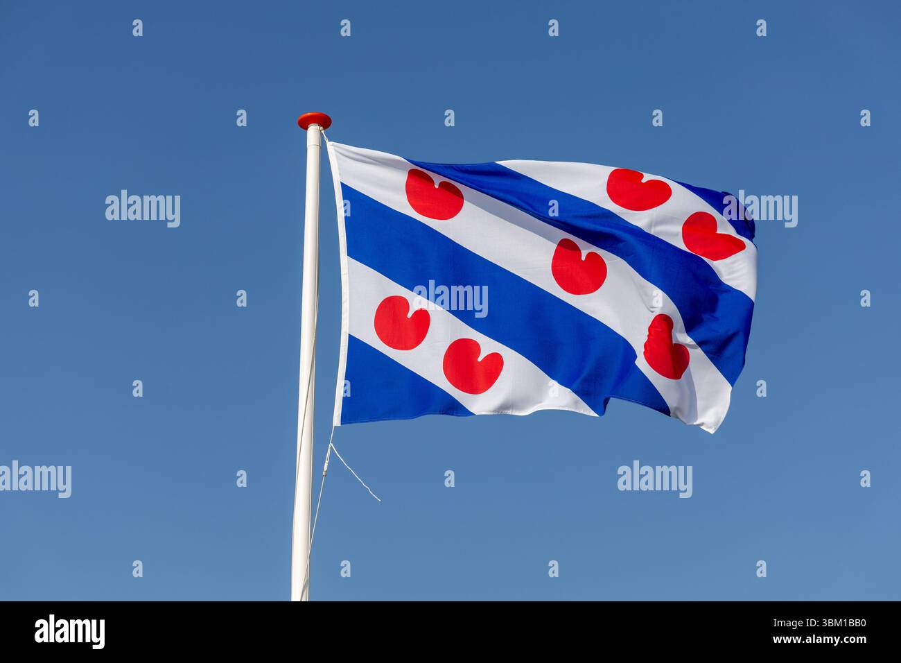 Drapeau frison de la province hollandaise Frise agitant au vent contre un ciel bleu clair. Reconnaissable par pompeblêden rouge et stri diagonale bleu-blanc Banque D'Images