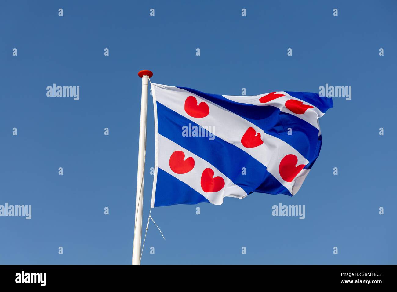 Drapeau frison agitant au vent sous un ciel bleu clair. Un symbole de la Frise, une province néerlandaise connue pour sa culture et sa langue uniques Banque D'Images