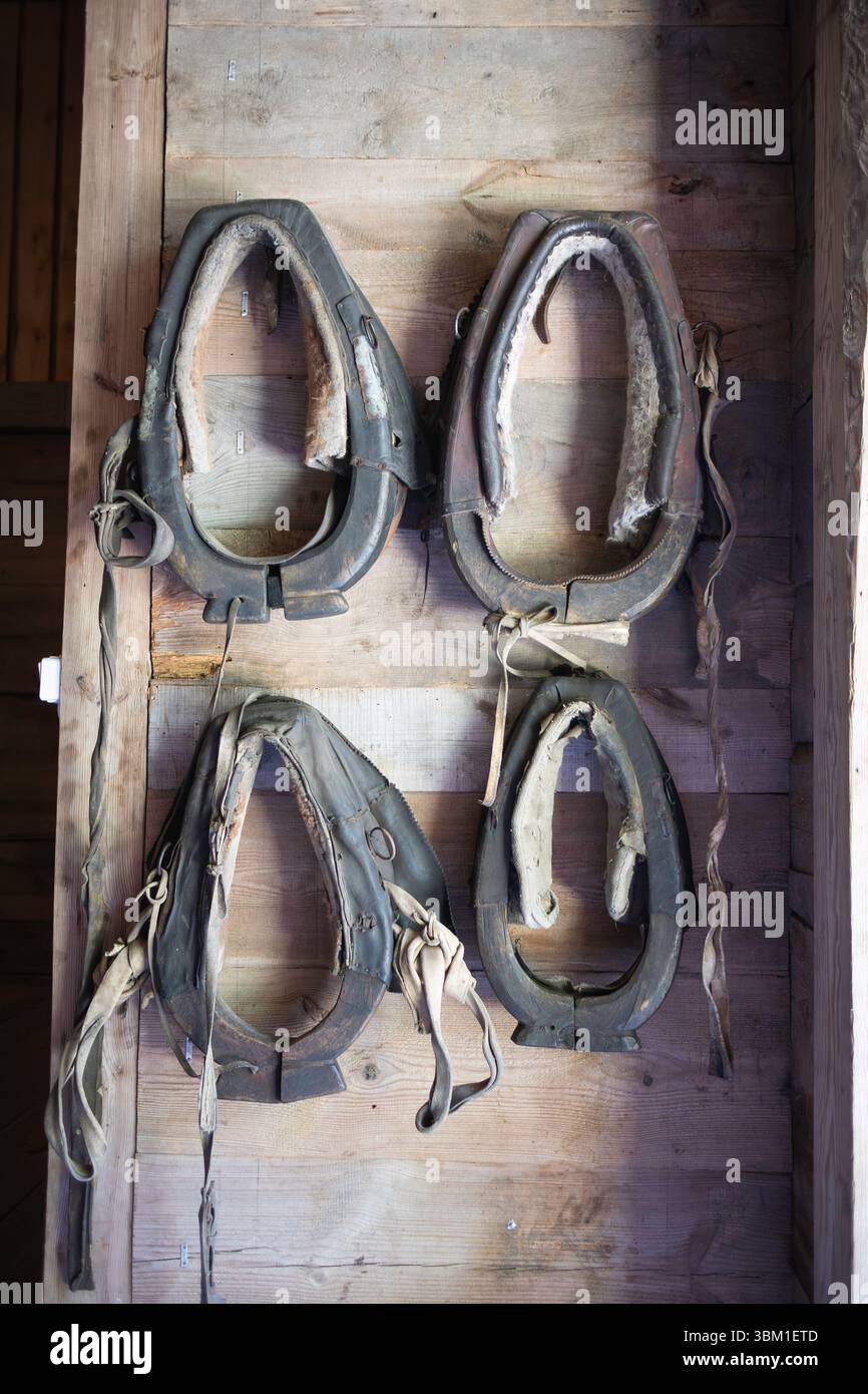 Quatre paires de vieilles bottes en cuir sont suspendues sur une étagère en bois. Les bottes sont portées et ont des lanières de cuir. L'étagère est faite de bois et a un rustique Banque D'Images