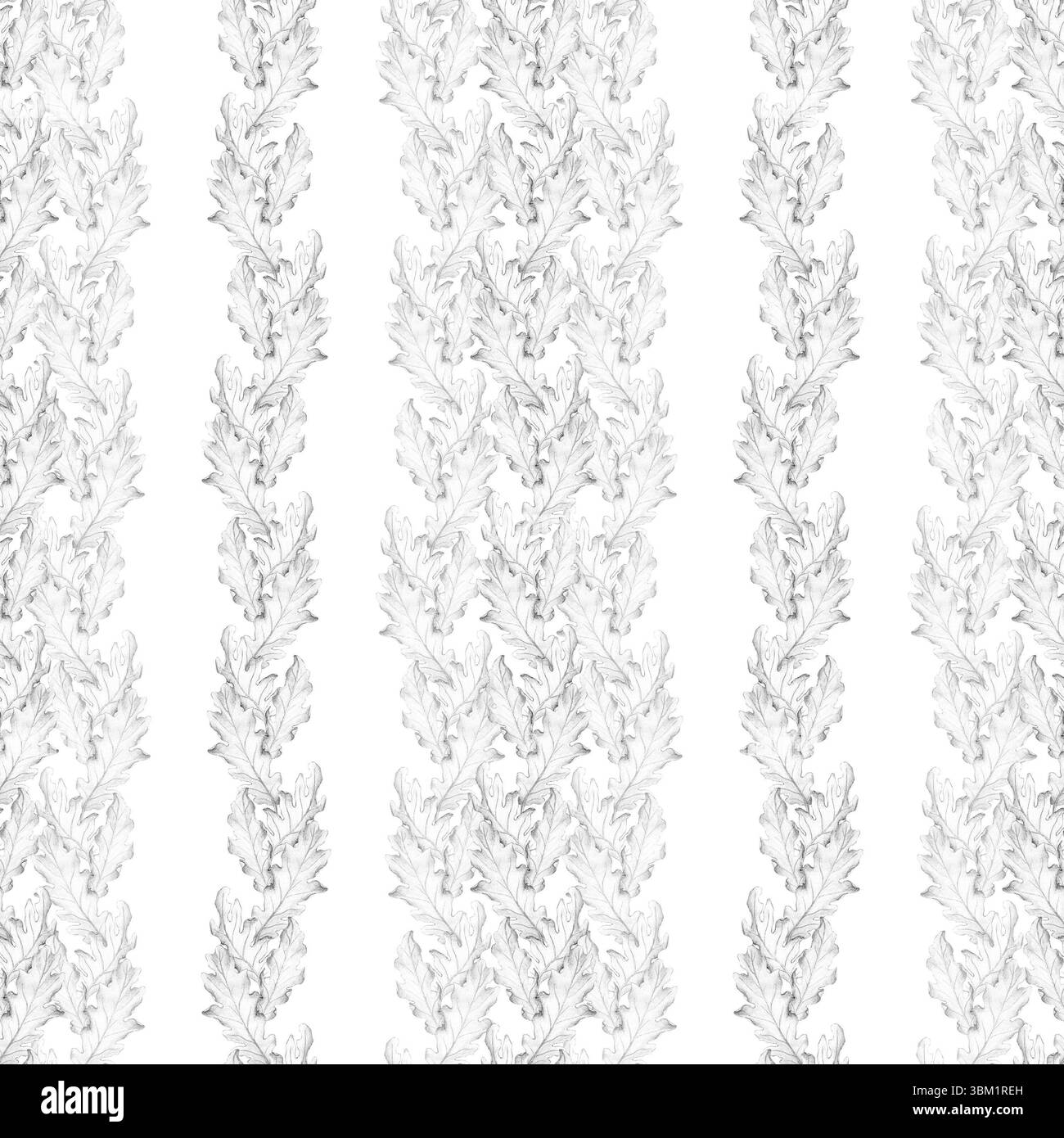 Modèle sans couture, bannière avec branche de chêne, feuilles de chêne sur fond blanc. Croquis au crayon, illustration botanique. Écorce de chêne, préparations médicinales Banque D'Images