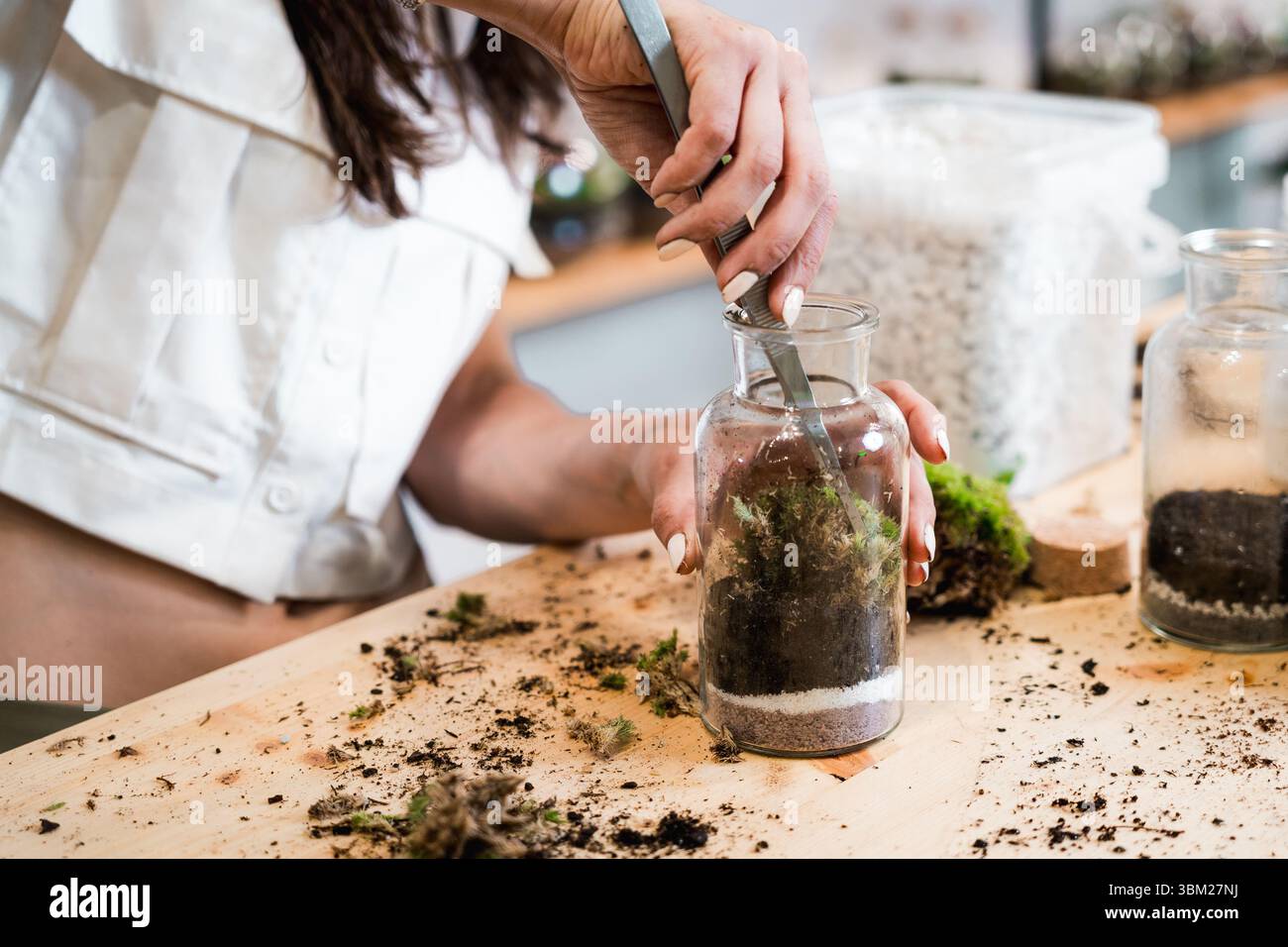 gros plan du terrarium dans un magasin de fleurs sur la table en bois avec les mains de la femme dans un bocal en verre. écosystème de jardin miniature Banque D'Images