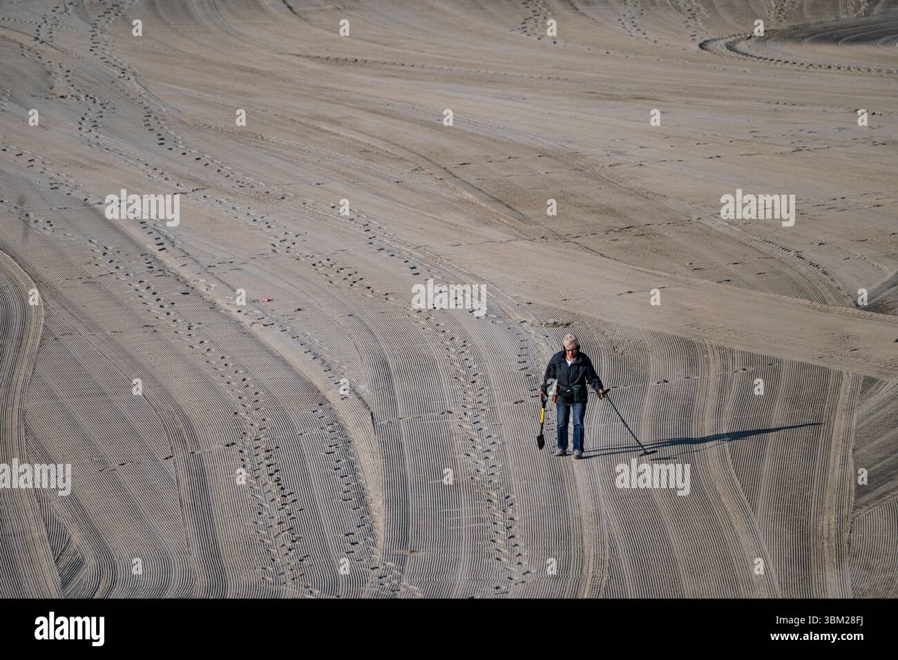 Metal Detectorist sur la plage. Lyme Regis, Dorset, Royaume-Uni Banque D'Images