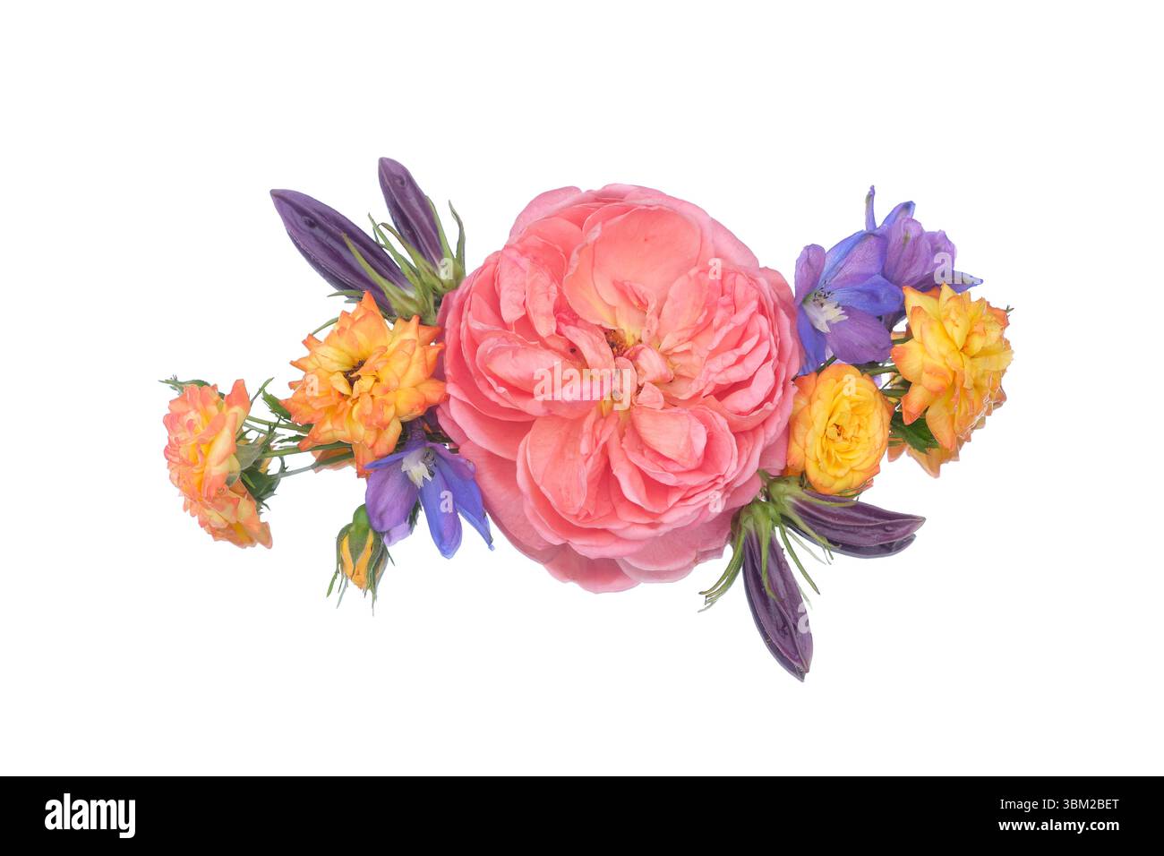 Fleurs mélangées vibrantes, disposition florale de roses, delphinium et soucis isolés sur fond blanc Banque D'Images