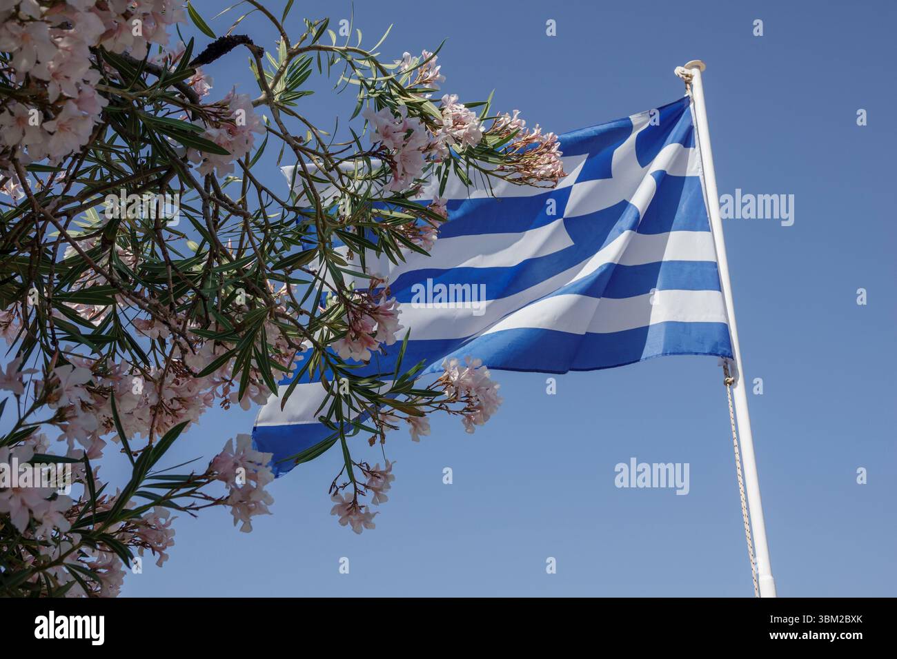 Un drapeau grec volant sur un poteau blanc contre un ciel bleu clair avec un arbre en fleur rose au premier plan. Banque D'Images