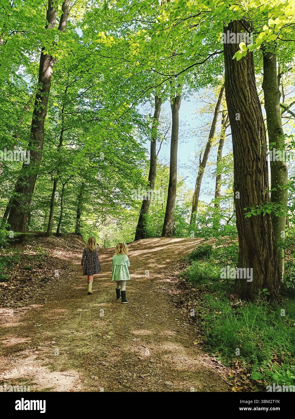 deux enfants marchant dans la forêt Banque D'Images