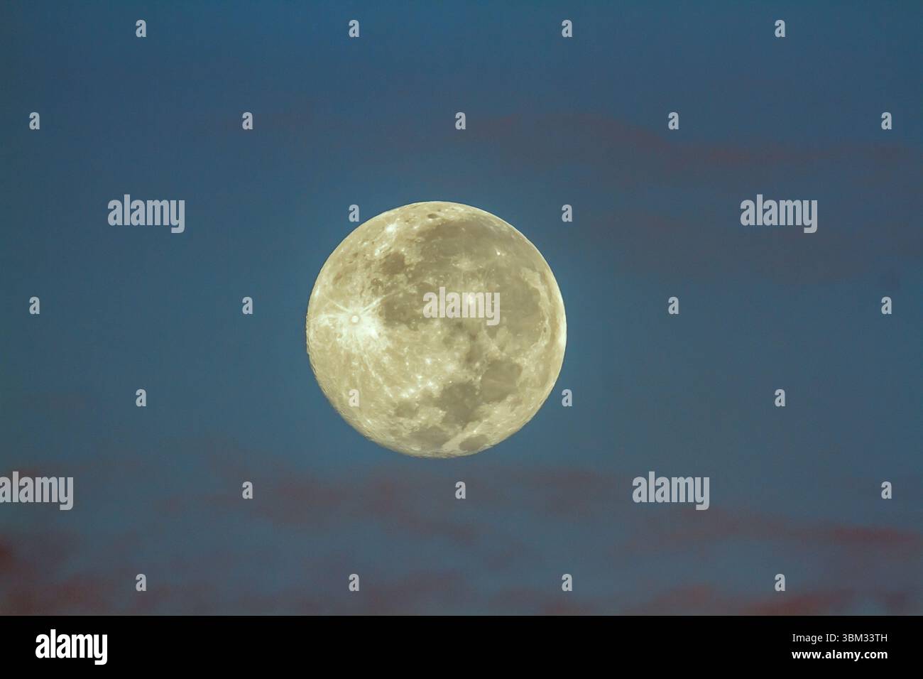 Jour de pleine lune dans le parc national du Grand Kruger, Afrique du Sud Banque D'Images