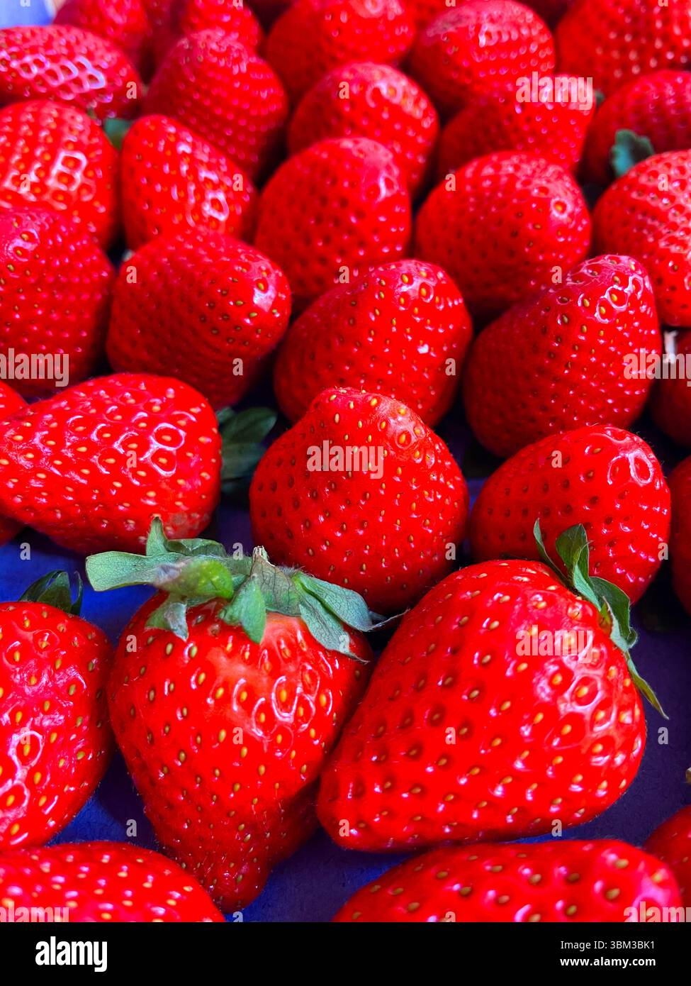 Fraises au sucre. - Image de stock capturée avec un smartphone