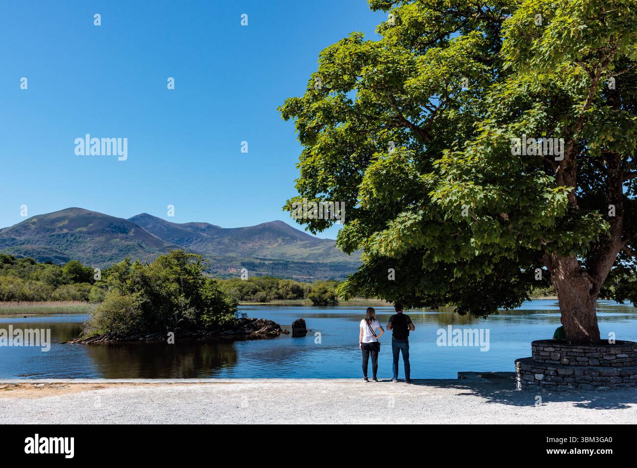 Ross Castle, Ross Island, Lough Leane, Killarney, Comté de Kerry, République d'Irlande, XVe siècle, médiéval , médiéval, O'Donoghue mor, O’Donoghue, wa Banque D'Images