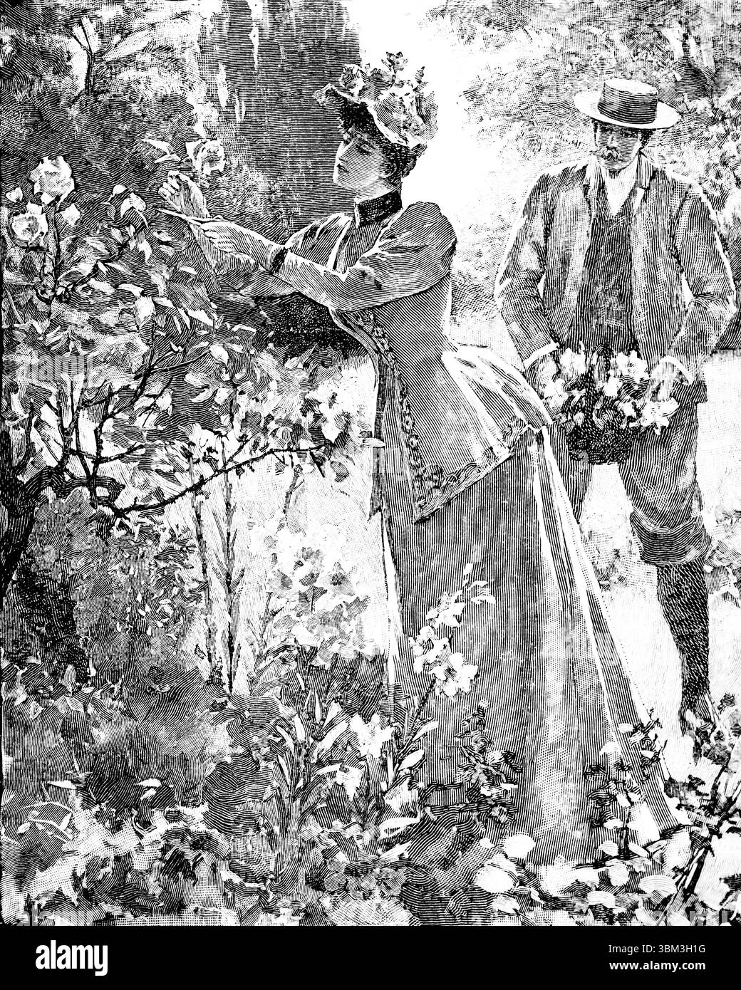 Jardin victorien, femme collectant des fleurs comme l'homme les tient dans un panier, illustration au trait gravé de 1892 The Quiver Magazine Banque D'Images
