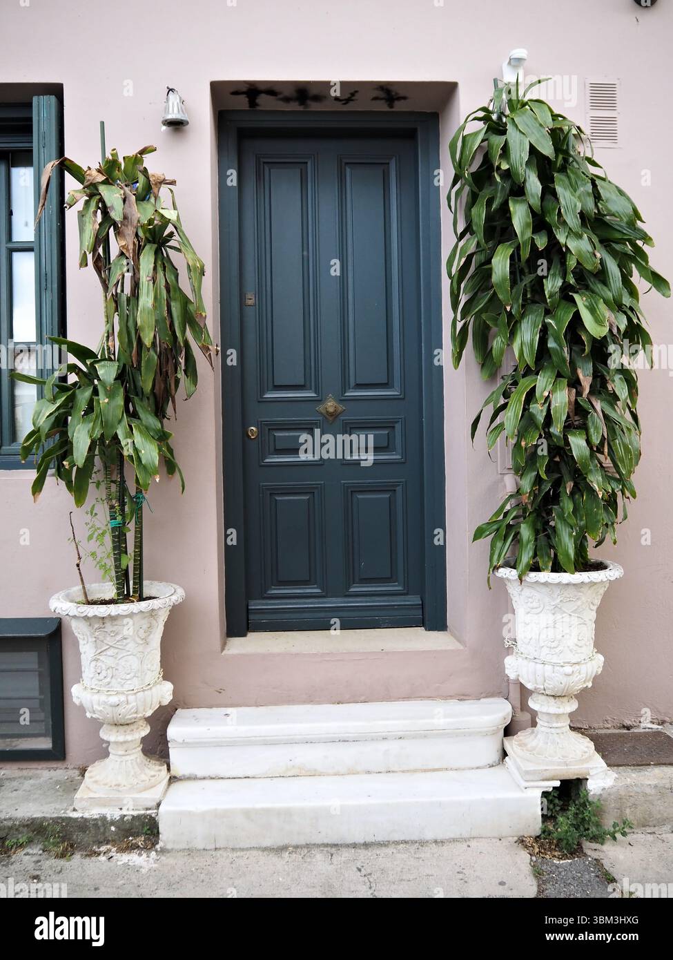Mur pastel avec porte verte et deux grandes plantes en pot feuillus dans des pots blancs par les marches avant d'une maison élégante. Banque D'Images