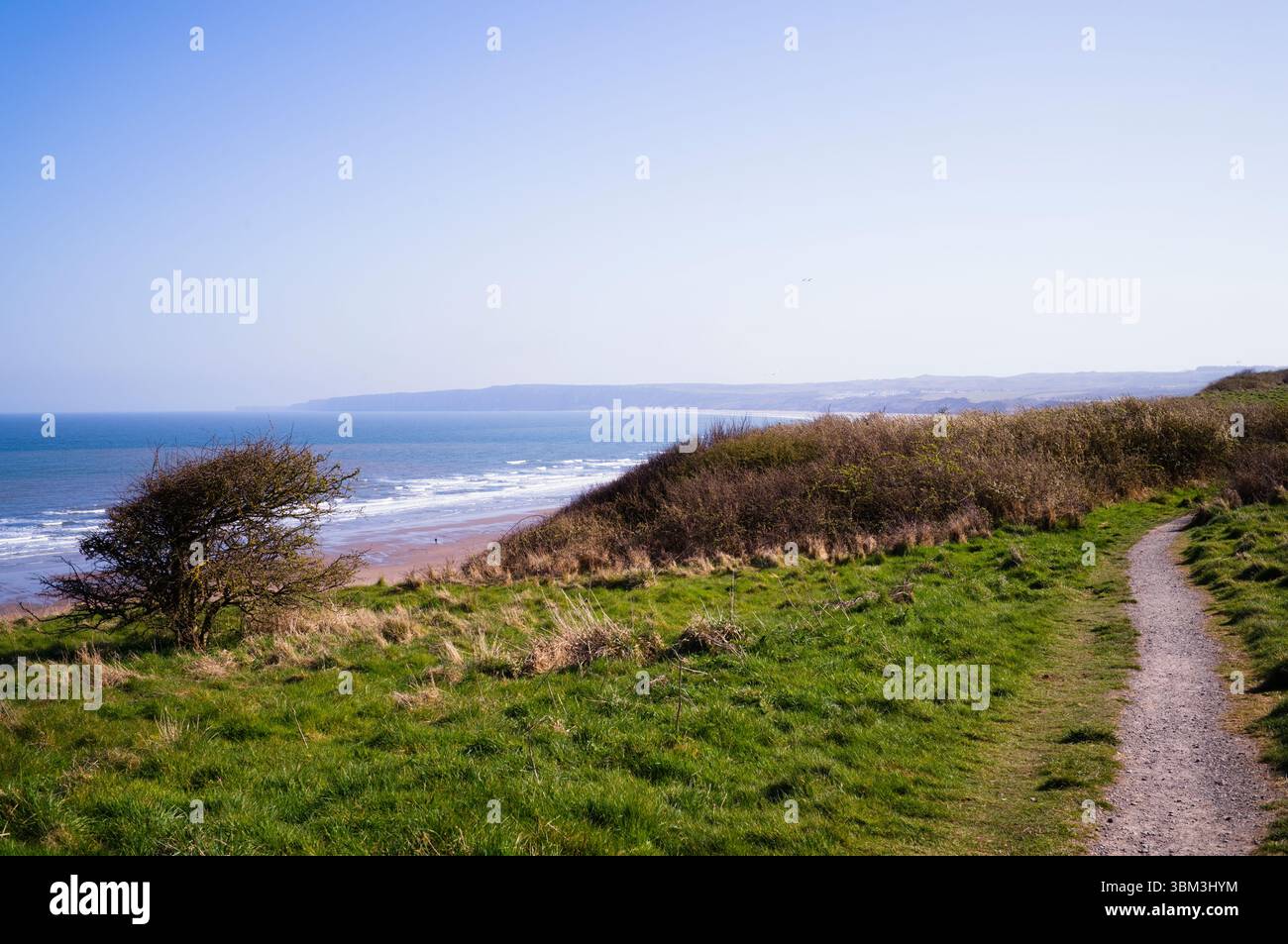 Vue depuis le sentier de falaise en direction du sud de Filey Banque D'Images