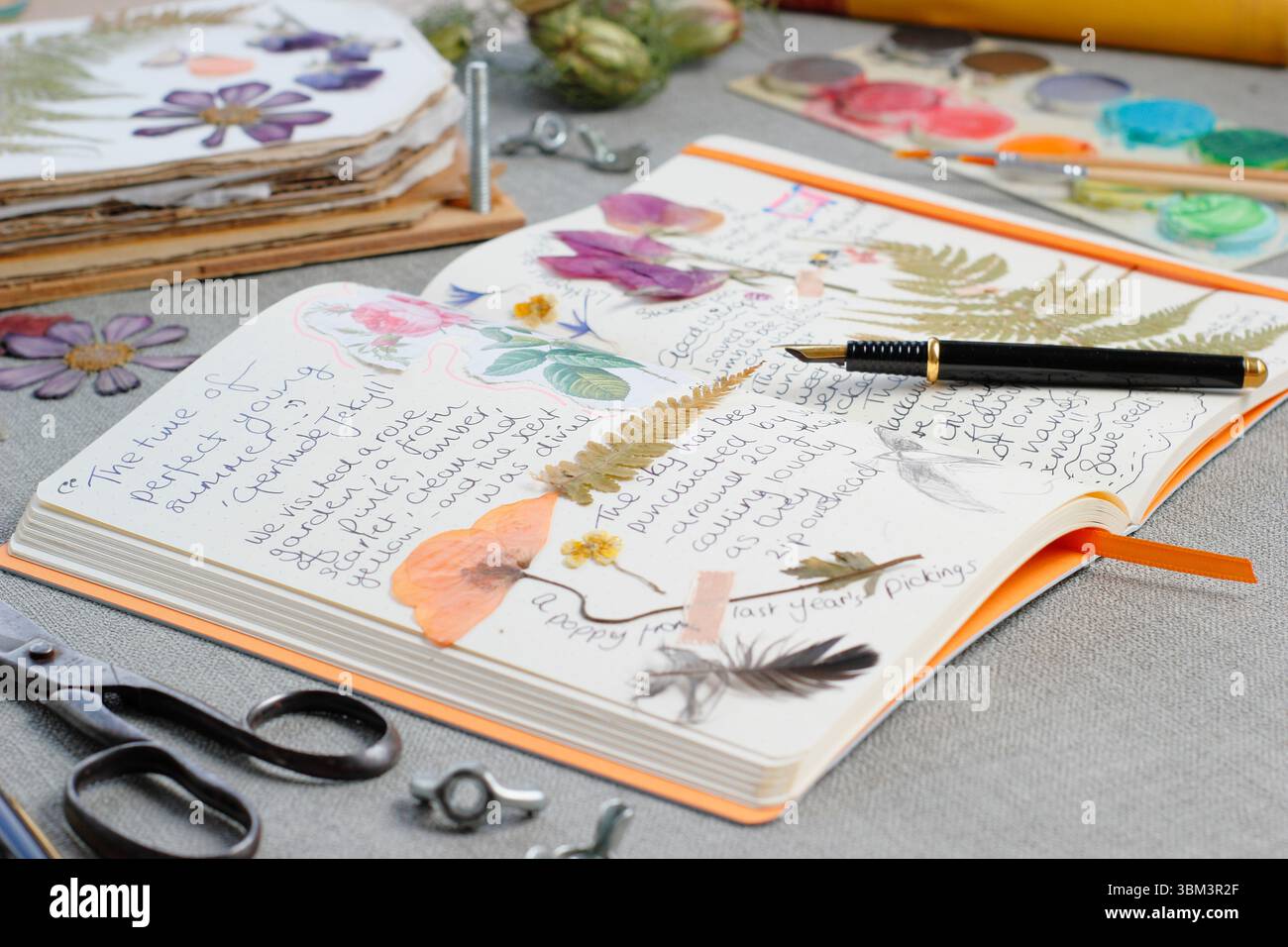 Journalisation. Journal de la nature d'une femme avec des fleurs pressées, des réflexions sur la nature, des pensées de jardinage, des images et des dessins pertinents pour le mois. ROYAUME-UNI Banque D'Images
