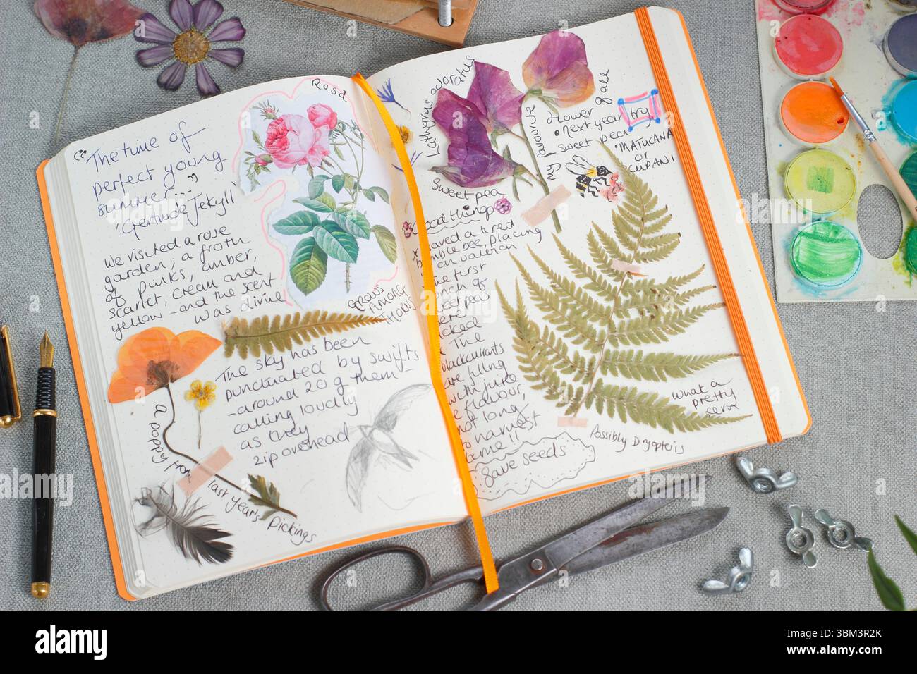 Journalisation. Journal de la nature d'une femme avec des fleurs pressées, des réflexions sur la nature, des pensées de jardinage, des images et des dessins pertinents pour le mois. ROYAUME-UNI Banque D'Images
