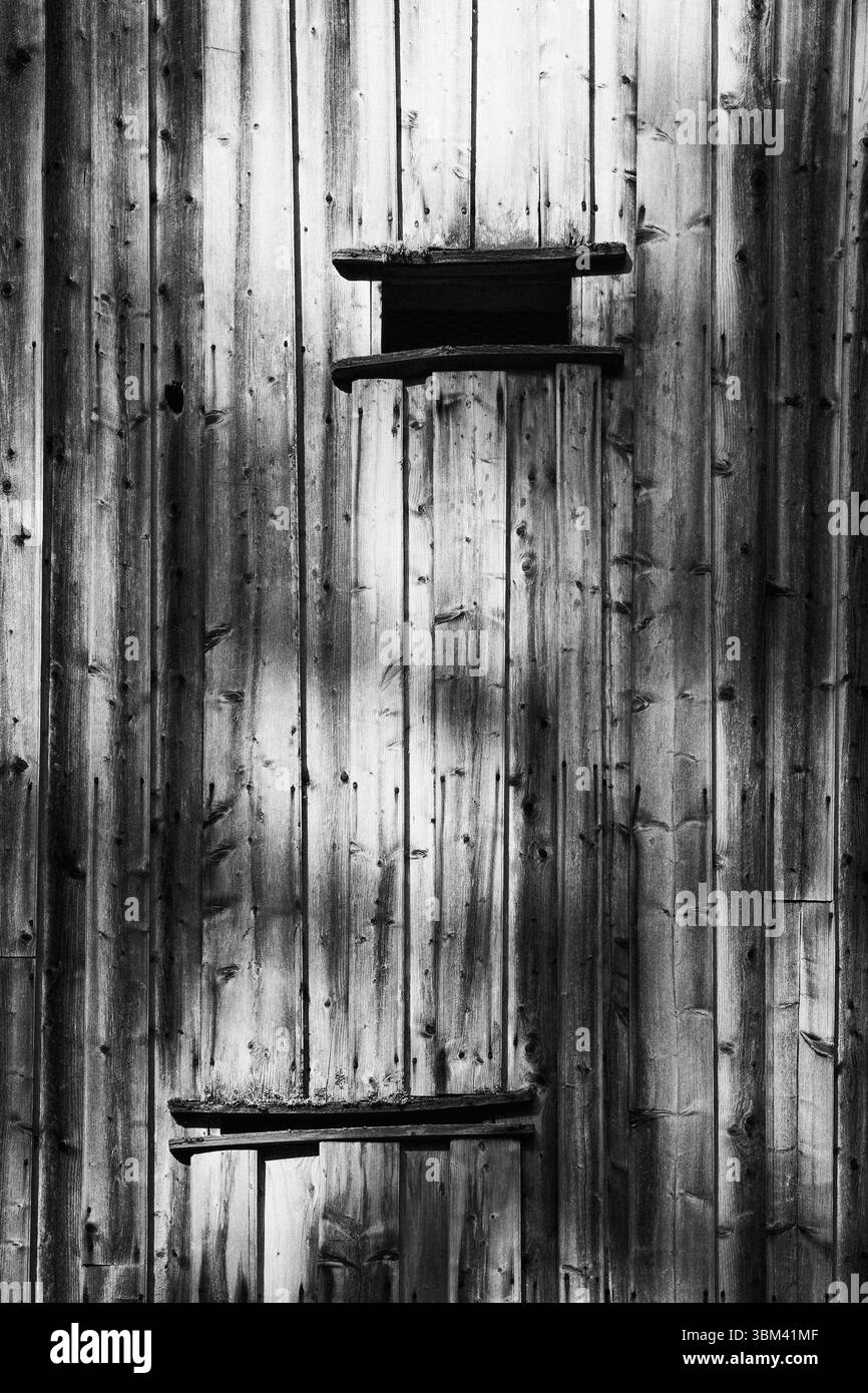 Images d'une journée de mai 2024 au Steinberg Open Air Museum, Toten, Norvège. Banque D'Images