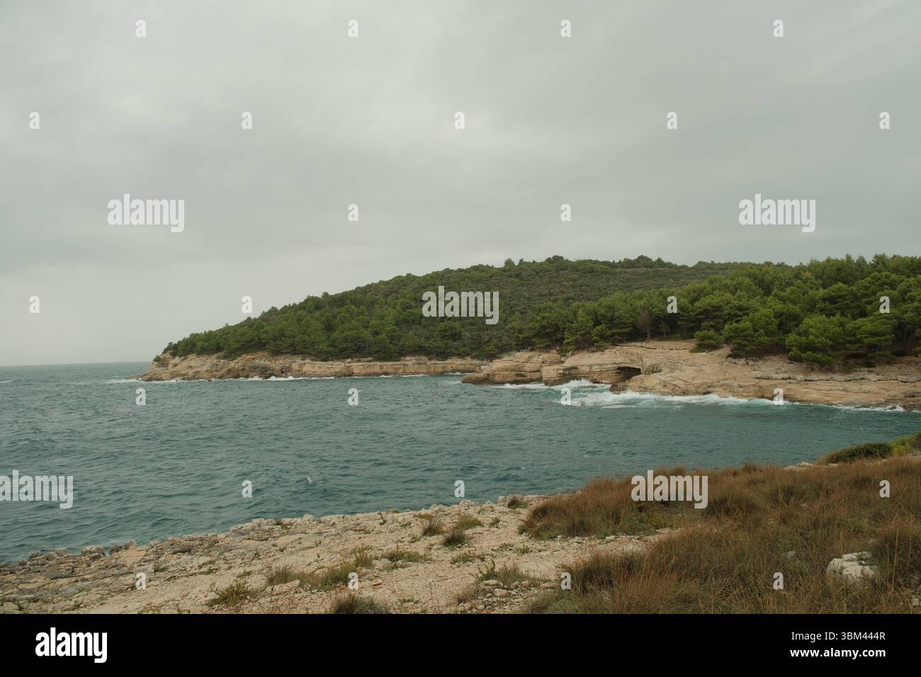 Vue panoramique sur une côte rocheuse adriatique couverte d'une dense forêt de pins méditerranéens sous un ciel sombre. Eau de mer calme avec quelques bouées flottantes. Banque D'Images