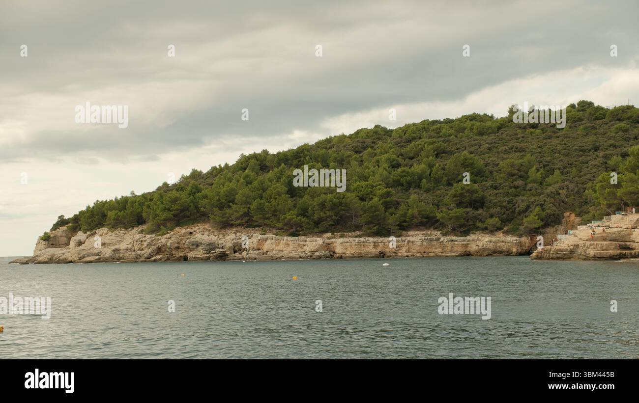 Vue panoramique sur une côte rocheuse adriatique couverte d'une dense forêt de pins méditerranéens sous un ciel sombre. Eau de mer calme avec quelques bouées flottantes. Banque D'Images