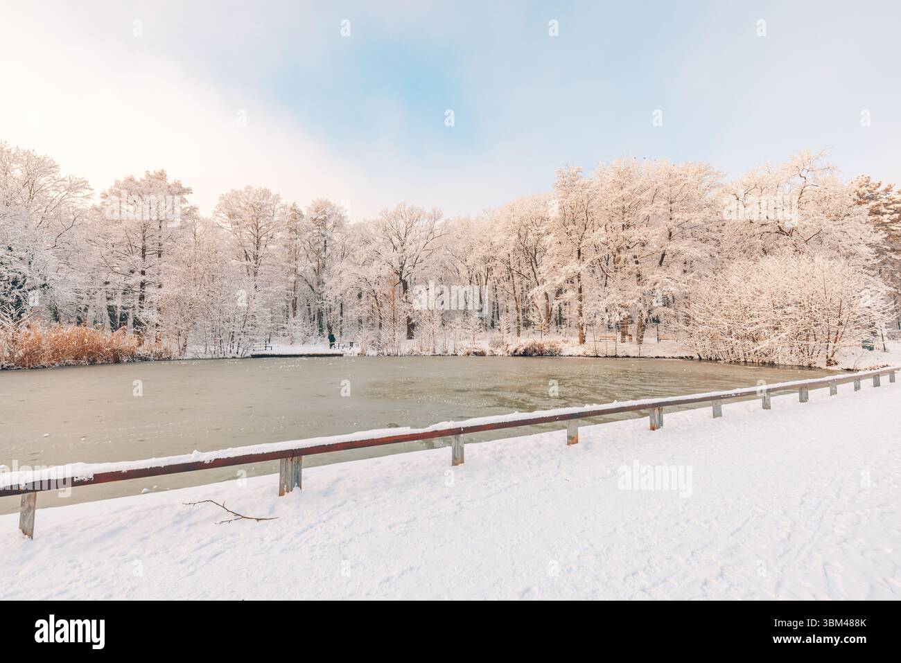 Bel hiver gelé lac pont en bois arbres neigeux blanc ciel saisonnier paysage abstrait fond de nature sereine scène nature inspirante vue extérieure Banque D'Images