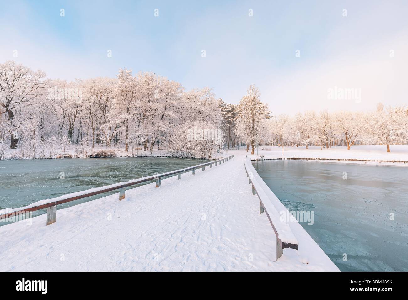 Bel hiver gelé lac pont en bois arbres neigeux blanc ciel saisonnier paysage abstrait fond de nature sereine scène nature inspirante vue extérieure Banque D'Images