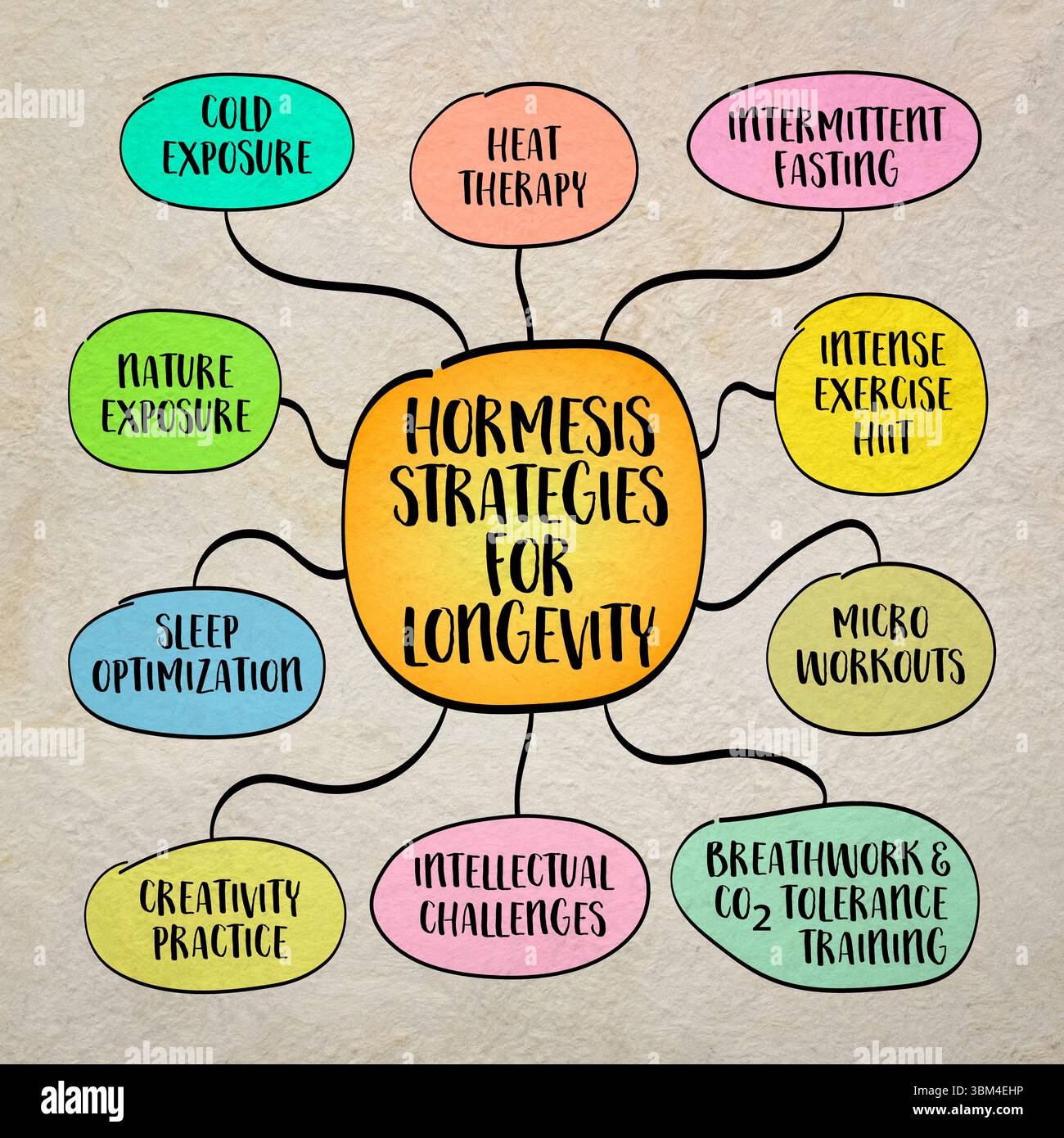 Stratégies d'hormesis à domicile pour le vieillissement en santé et la longévité, y compris la thérapie par le froid, le jeûne, l'exercice et les pratiques de résilience mentale. Carte heuristique s Banque D'Images