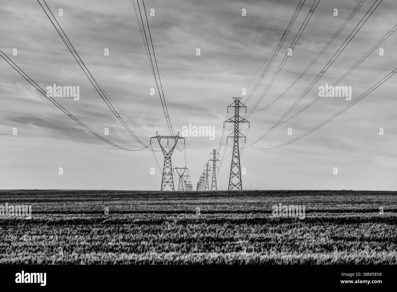 Paysages ruraux et lignes électriques à haute tension à l'extérieur de Calgary, Alberta, tôt le matin Banque D'Images