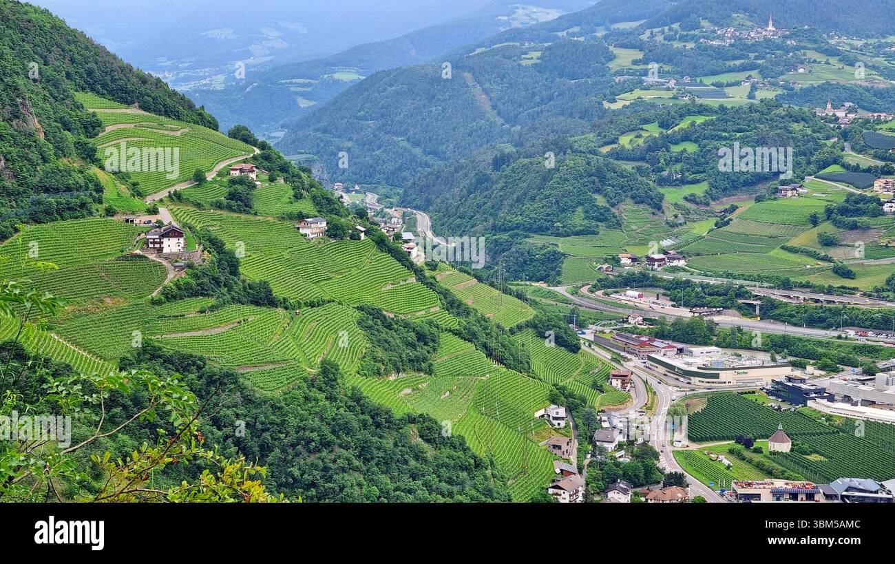 Paysage pastoral avec des vignobles verdoyants et des villages sur des collines boisées dans le Tyrol du Sud, Italie Banque D'Images