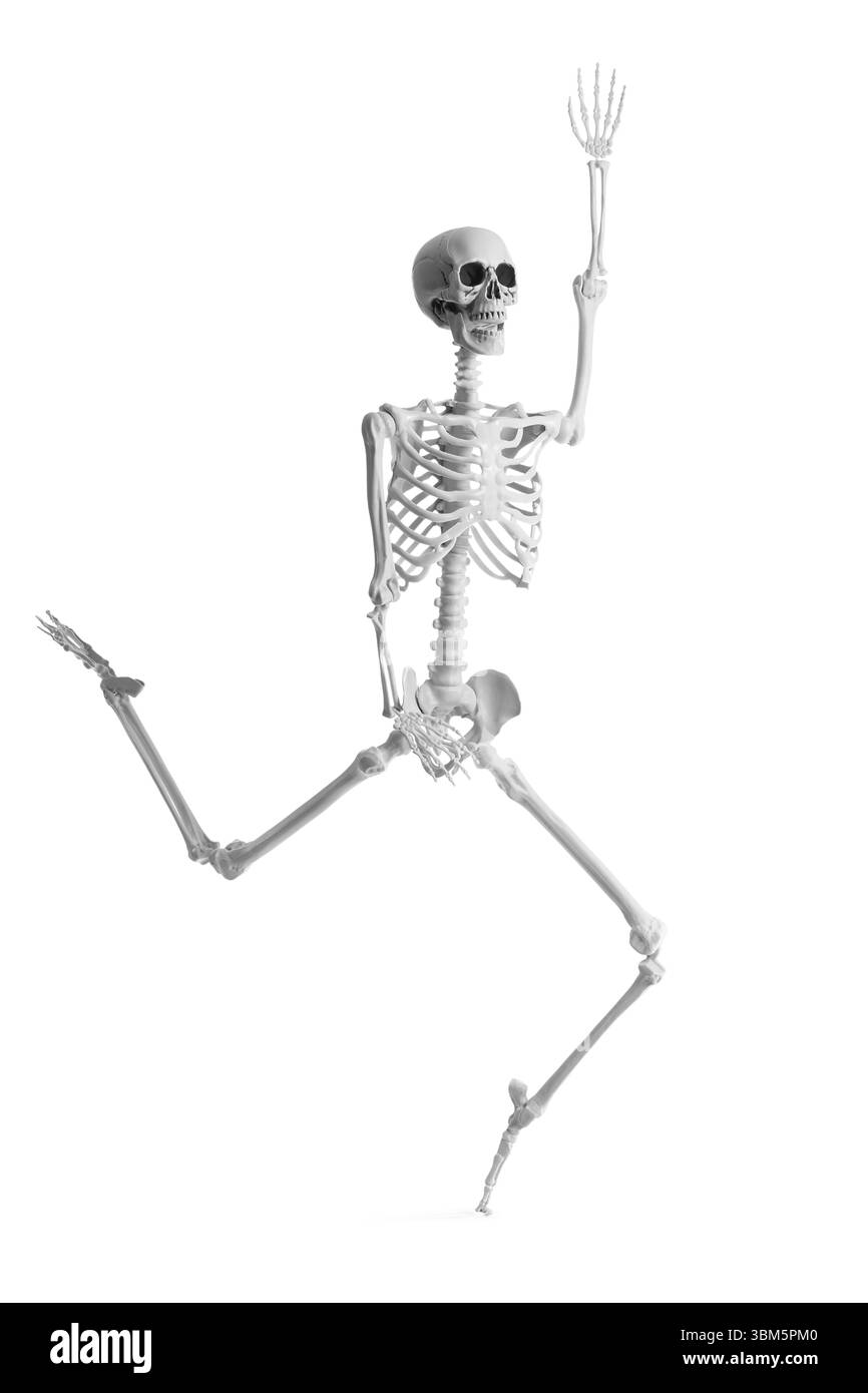 Squelette humain courant et agitant la main sur fond blanc Banque D'Images