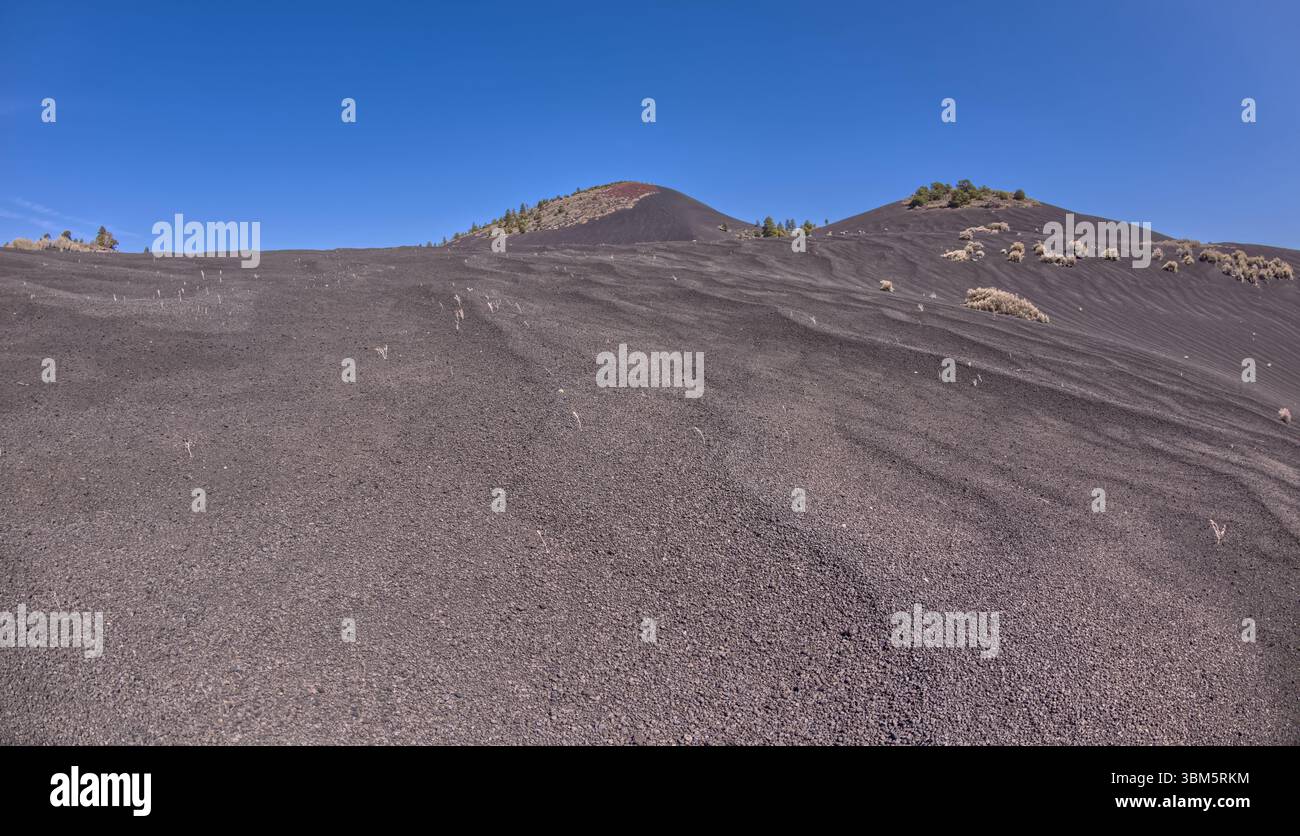 Collines de cendres volcaniques dans la forêt nationale de Coconino près du monument national de Sunset Crater de l'Arizona. Banque D'Images