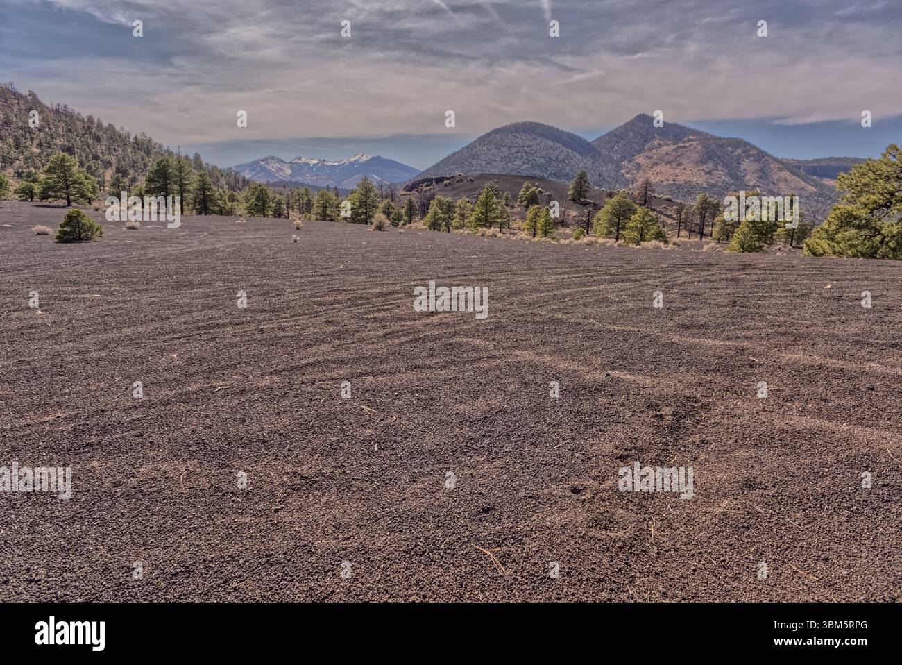 O'Leary Peak sur la droite, et Humphrey's Peak en arrière-plan, vu d'une colline volcanique de cendre dans la forêt nationale de Coconino près de Sunset Crater Na Banque D'Images