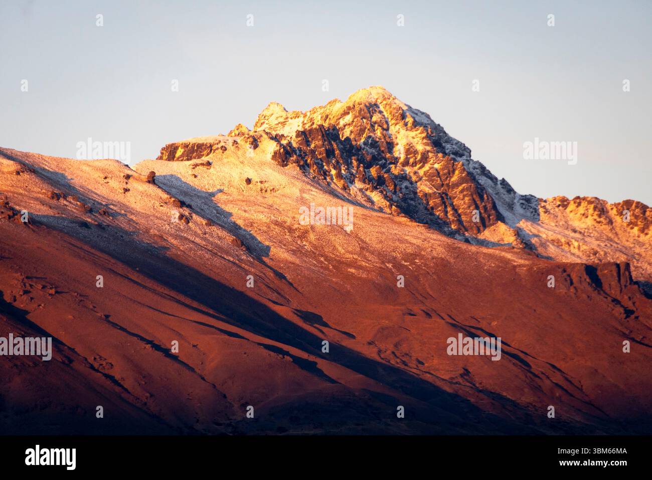 Walters Peak, Queenstown, Central Otago, Île du Sud, Nouvelle-Zélande Banque D'Images