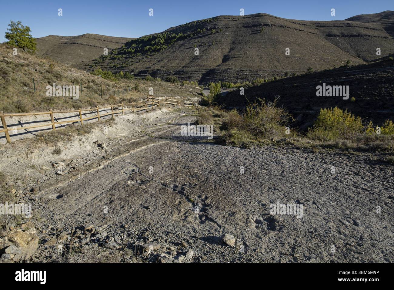 Traces de dinosaures, site de Valdecevillo, Enciso, la Rioja, Espagne, Europe Banque D'Images