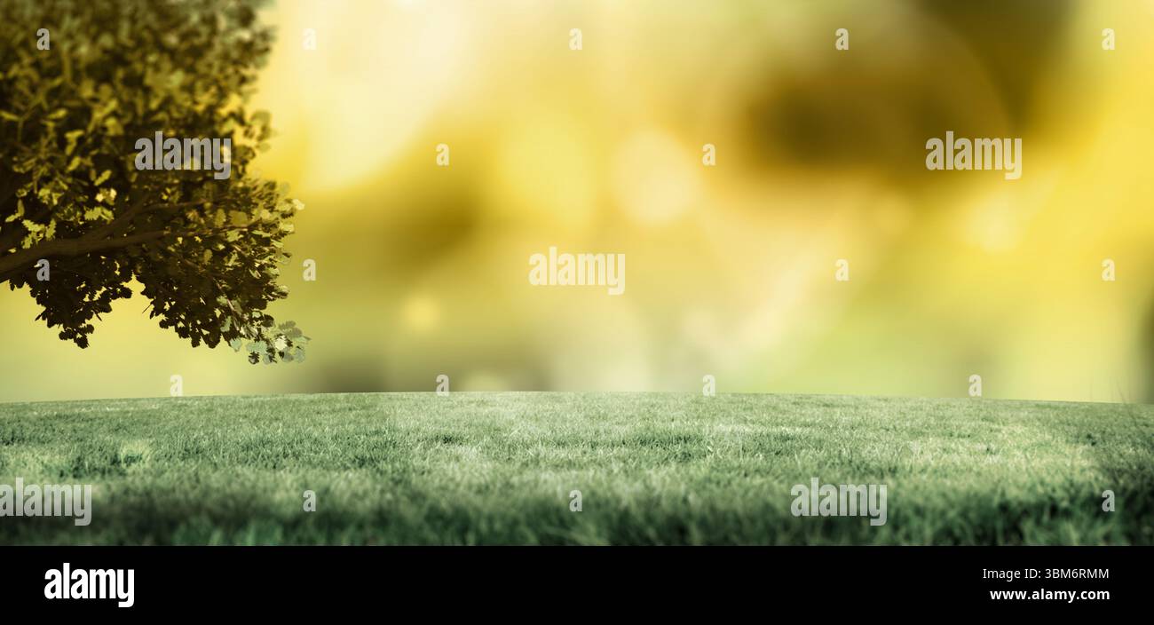 La conception plate montre une branche d'arbre au-dessus d'un champ herbeux, avec un arrière-plan bokeh doré brillant Banque D'Images