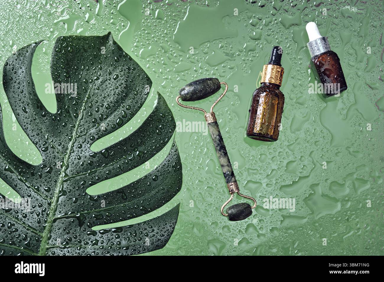 Bouteille de sérum de lotion cosmétique de beauté et rouleau de massage en jade. Concept de soins de la peau de traitement avec fond de feuille de monstera et de gouttes d'eau Banque D'Images