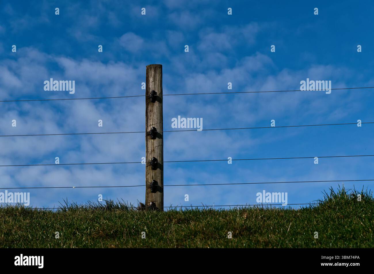 Un poteau de clôture en bois a des isolants sur elle pour faire passer les fils de clôture électrique à travers. Il y a un ciel bleu nuageux et de l'herbe verte. Banque D'Images