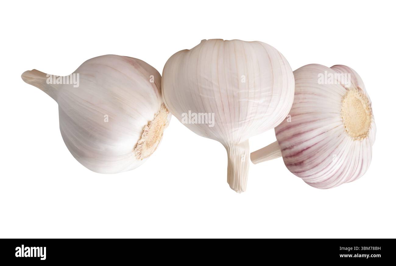 Vue latérale de trois bulbes d'ail blanc dans la pile est isolé sur fond blanc avec chemin de découpage. Banque D'Images