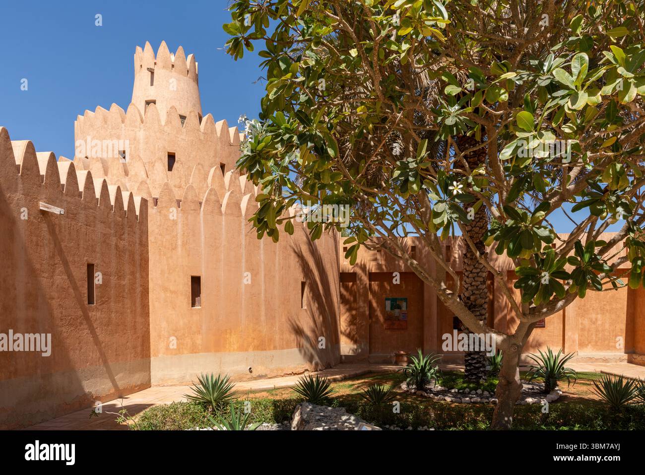 Cour forteresse historique avec architecture traditionnelle et végétation luxuriante sous ciel bleu, emplacement Al Ain Palace Museum, Emirat arabe Uni Banque D'Images