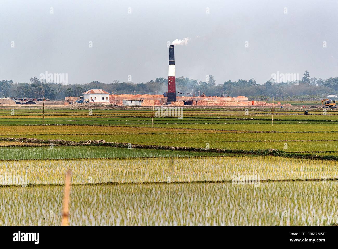 Un paysage industriel rural montrant un champ de briques traditionnel avec des milliers de briques disposées en motifs soignés. Banque D'Images