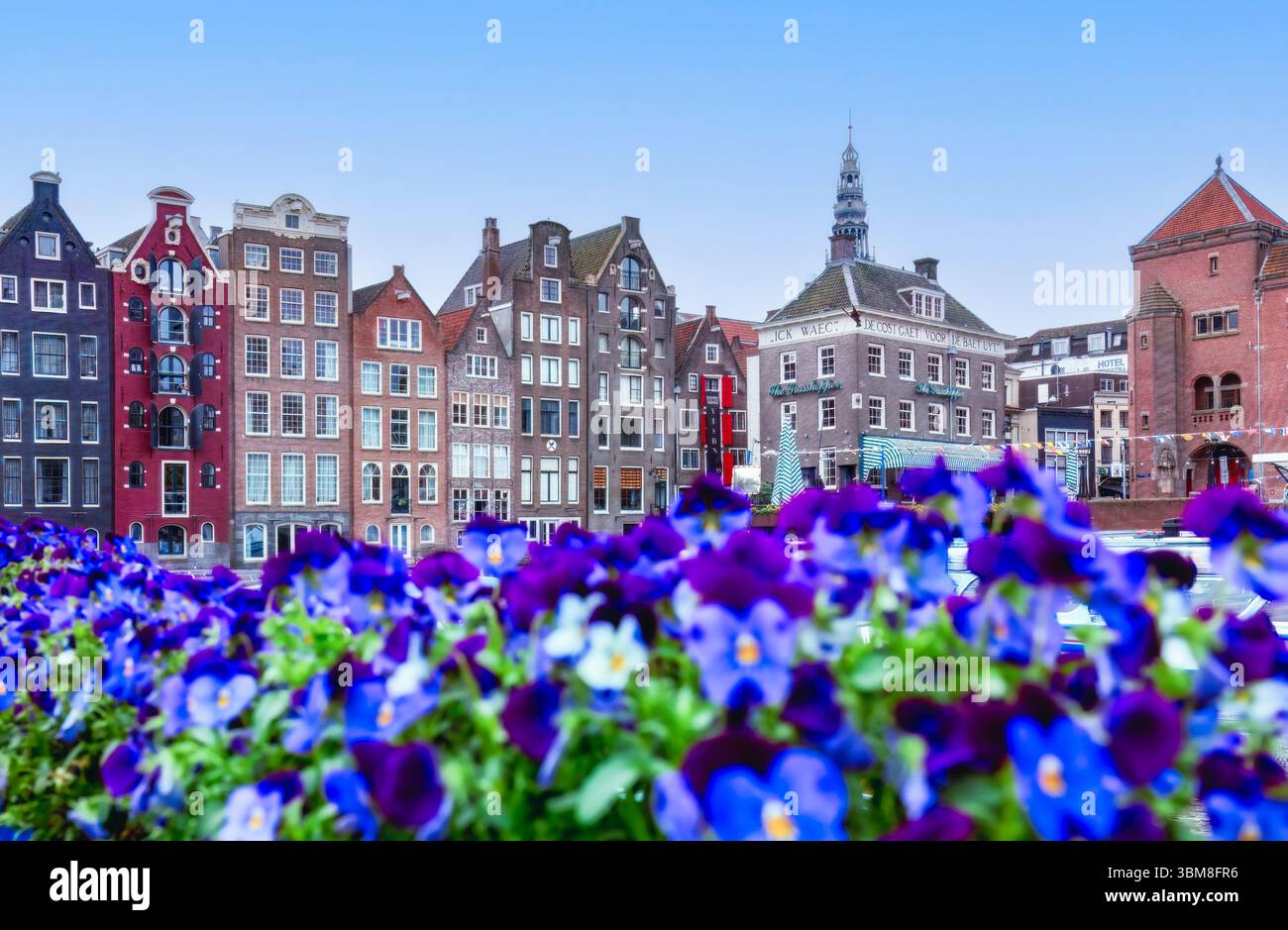Fleurs lumineuses devant les maisons du canal d'Amsterdam, atmosphère hollandaise animée, scène de voyage pittoresque, architecture pittoresque. Pour les sites de voyage, les réseaux sociaux Banque D'Images