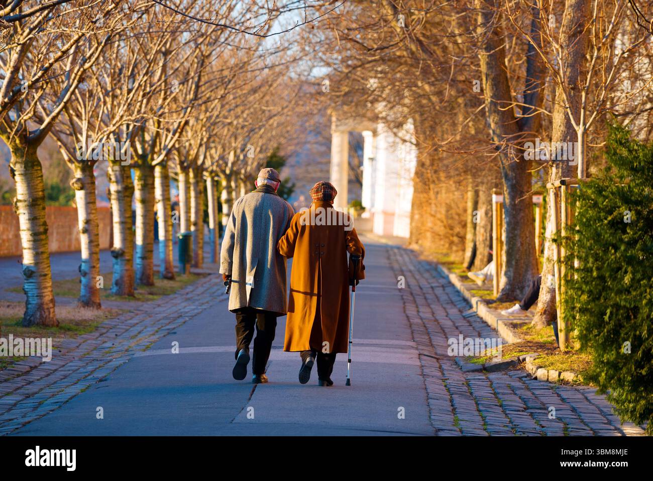 Couple âgé marche bras dans bras le long de l'allée d'automne Banque D'Images