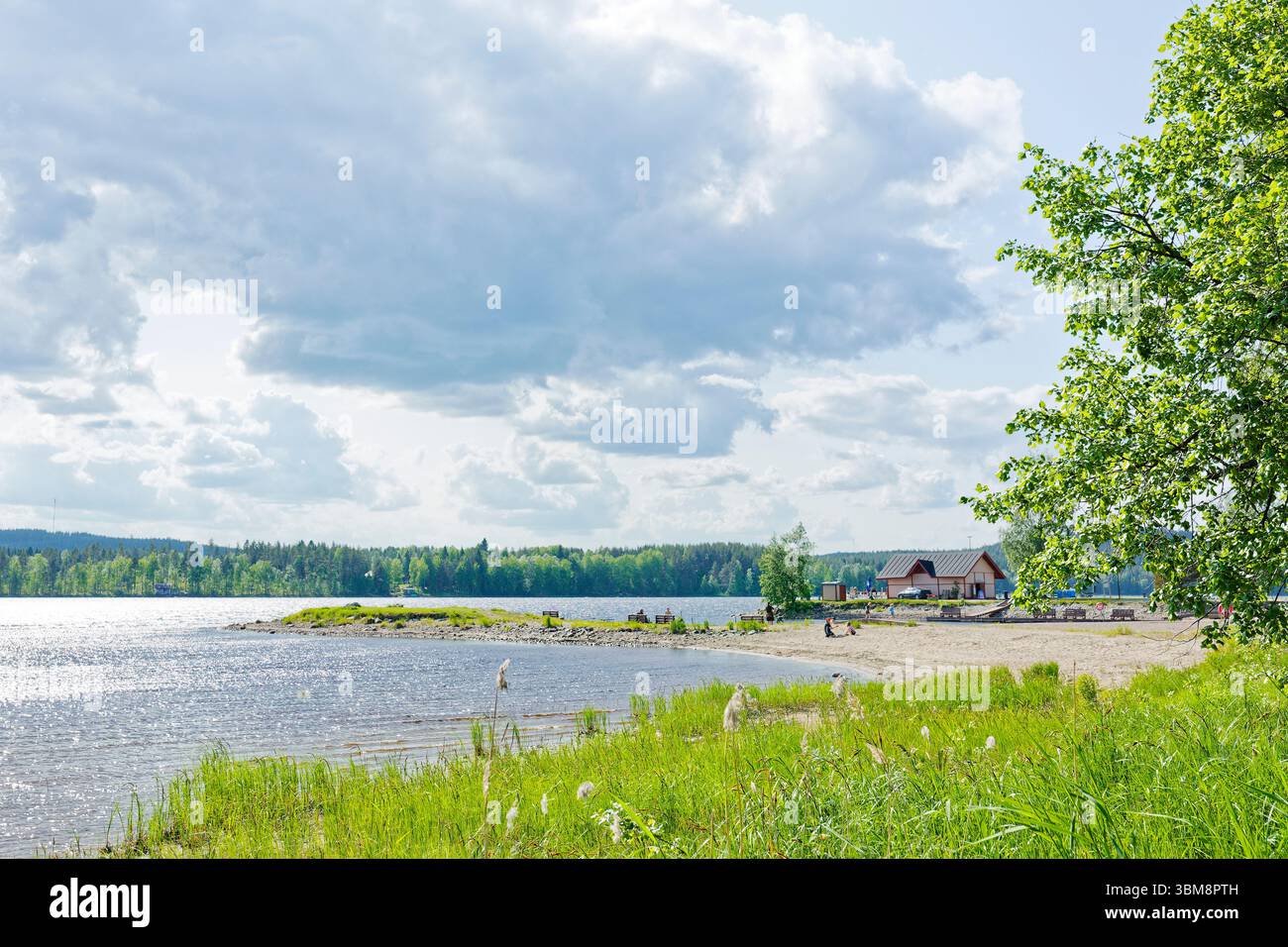 Vue panoramique sur le rivage du lac Pielinen à Nurmes Finlande Banque D'Images