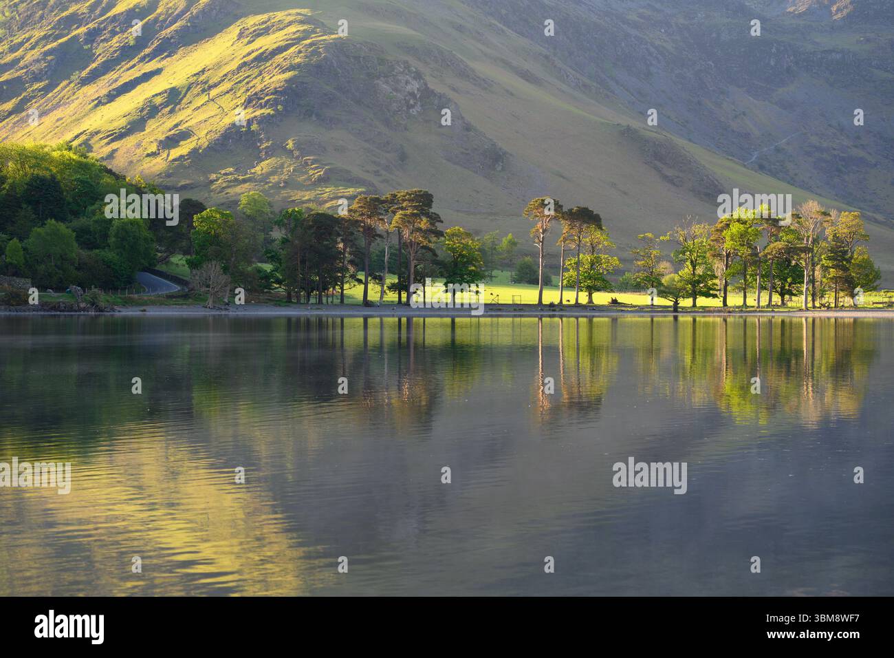 Belle matinée de printemps fraîche avec des arbres sur le rivage du lac baignant dans la lumière du soleil doré. Buttermere, parc national du Lake District, Royaume-Uni. Banque D'Images