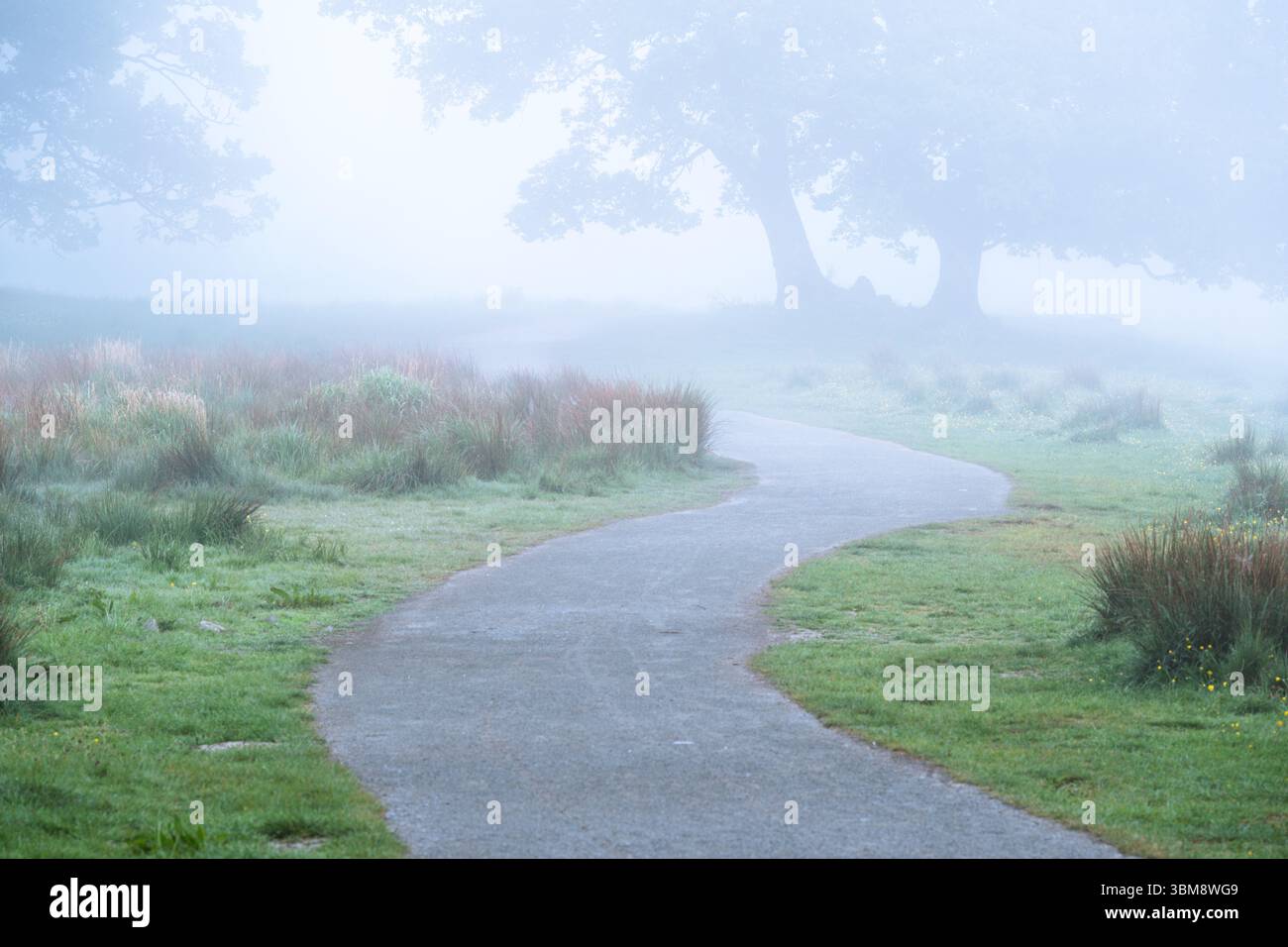 Sentier rural sinueux dans la campagne britannique par un matin brumeux paisible dans le parc national du Lake District, Royaume-Uni. Banque D'Images