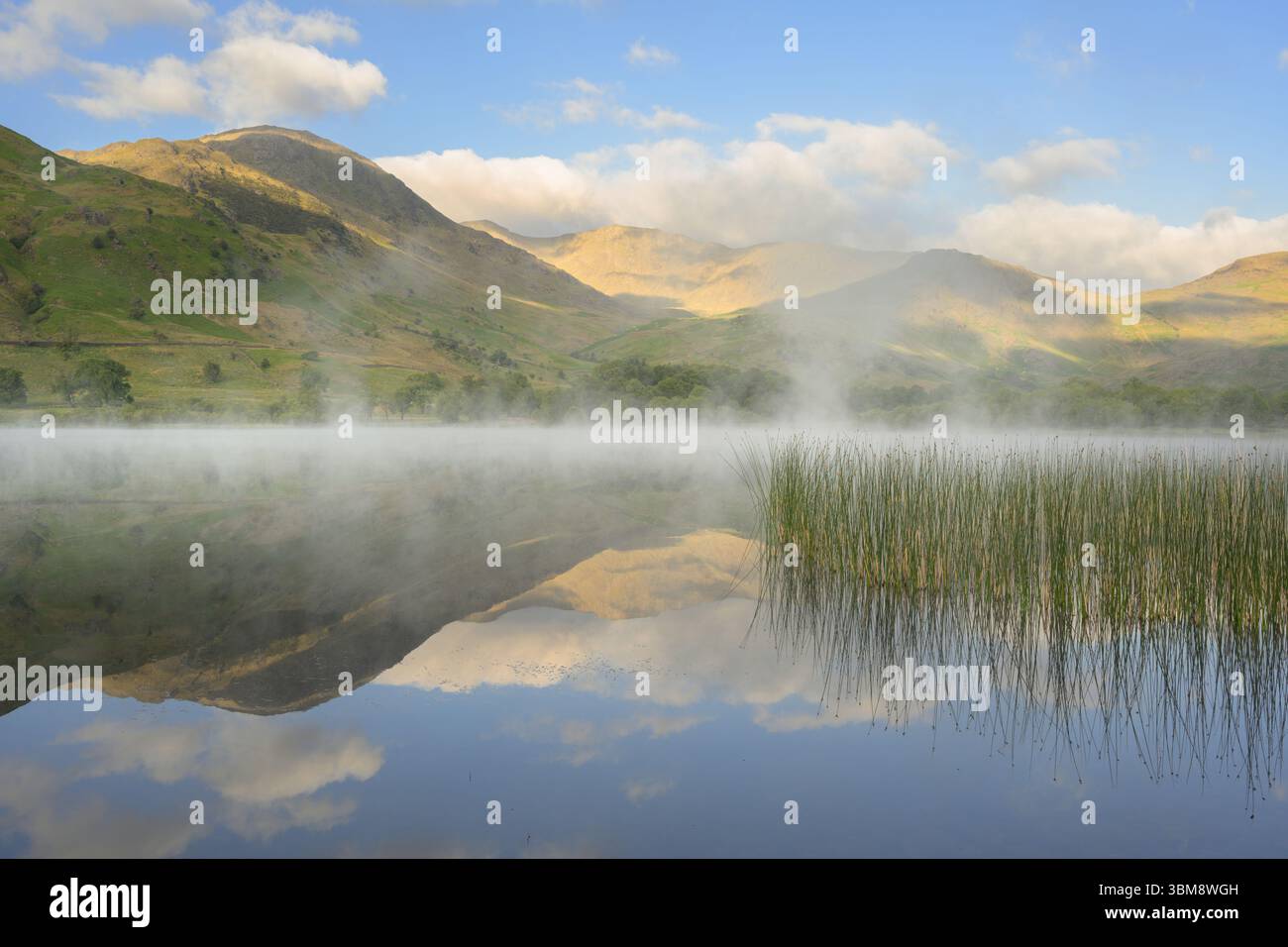 Lac brumeux avec des reflets à Little Langdale Tarn dans le Lake District National Park, Royaume-Uni. Banque D'Images