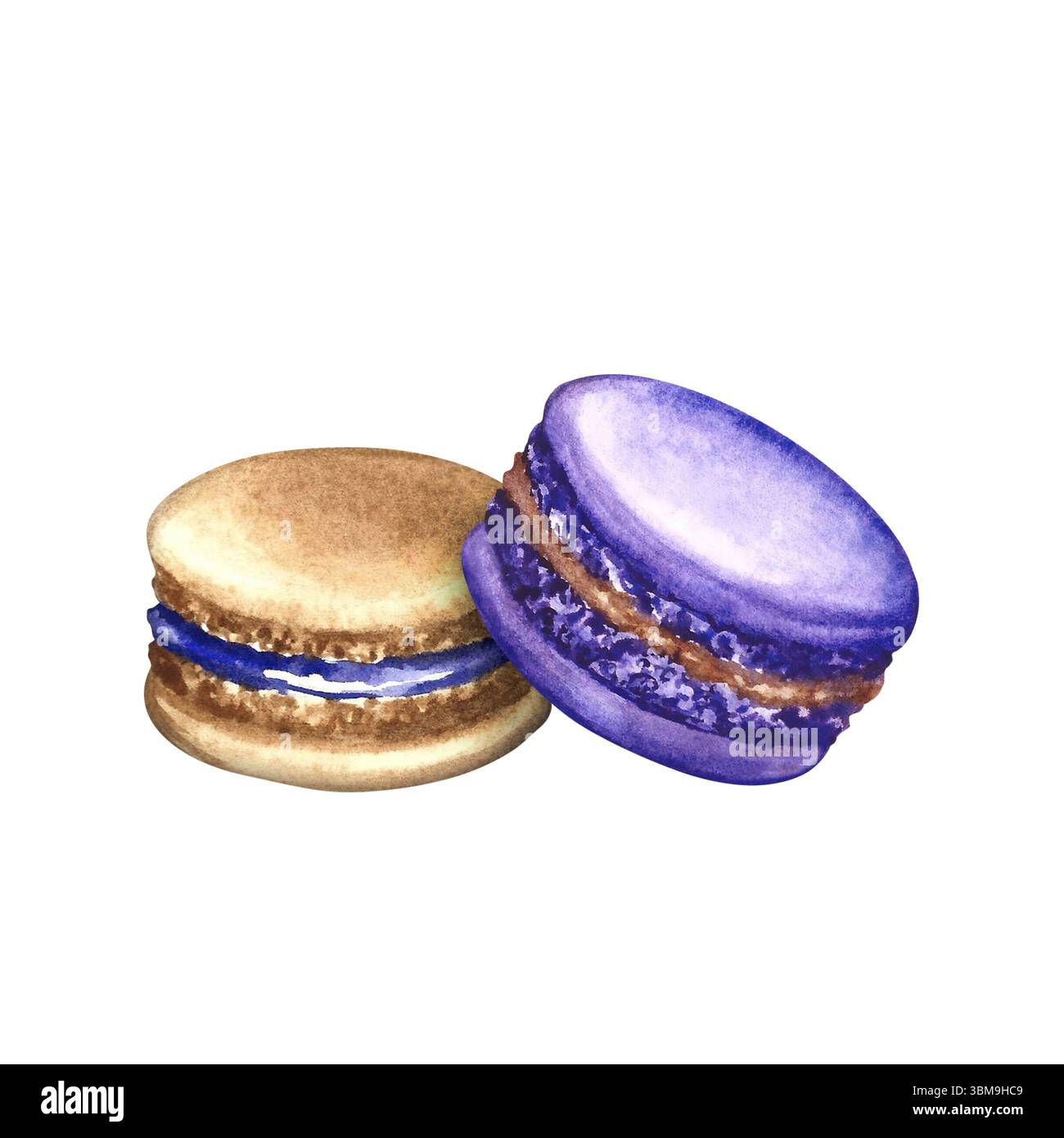 Biscuits aux macarons. Illustration d'aquarelle dessinée à la main. Couleur violet et pain. Isolation. Confiserie aux amandes. Élément de votre conception. Pour les bannières, web Banque D'Images
